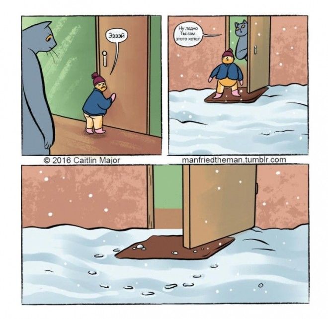 если бы кошки и люди поменялись местами Manfried the Man Человек по имени Манфред Кейтлин Мейджор Caitlin Major