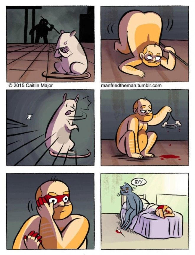 если бы кошки и люди поменялись местами Manfried the Man Человек по имени Манфред Кейтлин Мейджор Caitlin Major