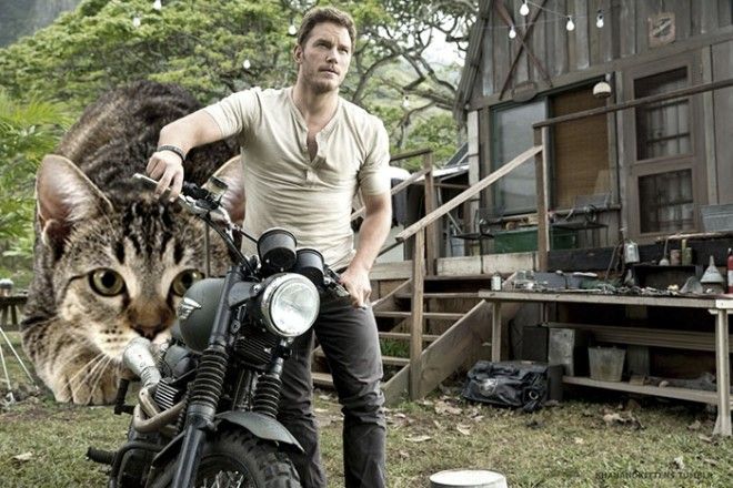 Ктото заменил динозавров Мира юрского периода котамии это чертовски весело