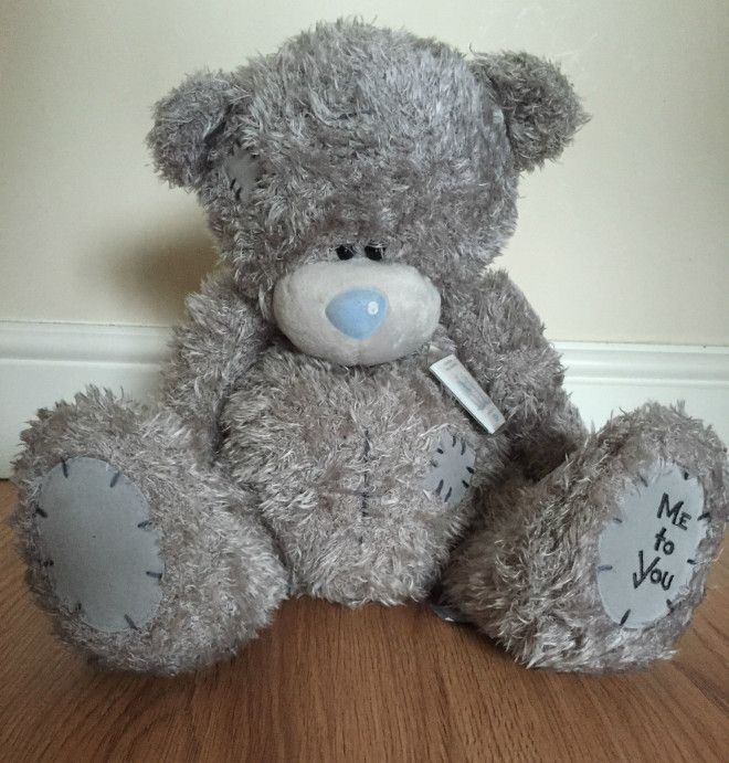 Картинки по запросу grey teddy bear blue nose
