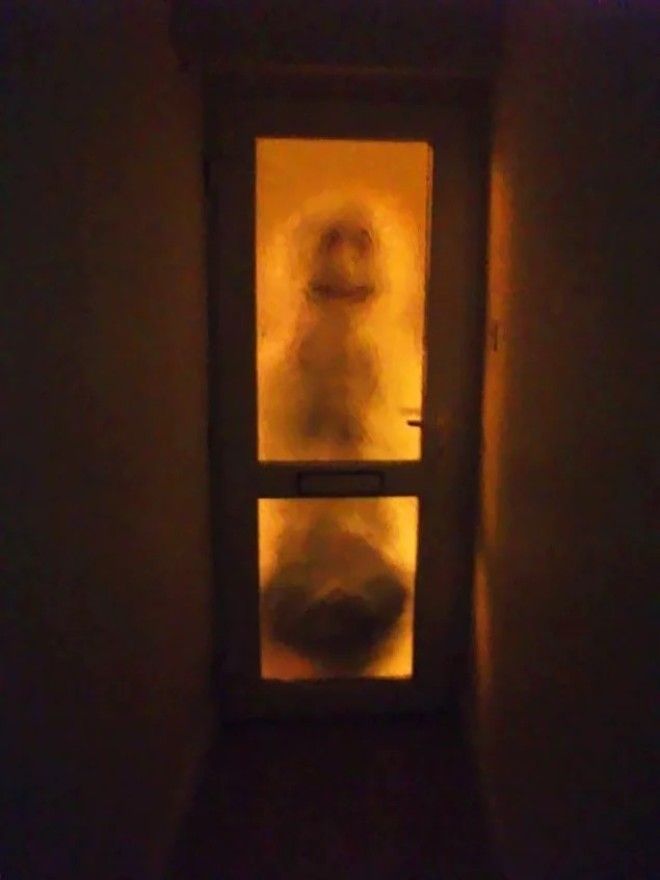 12 соседских розыгрышей после которых вы никогда не захотите соседей