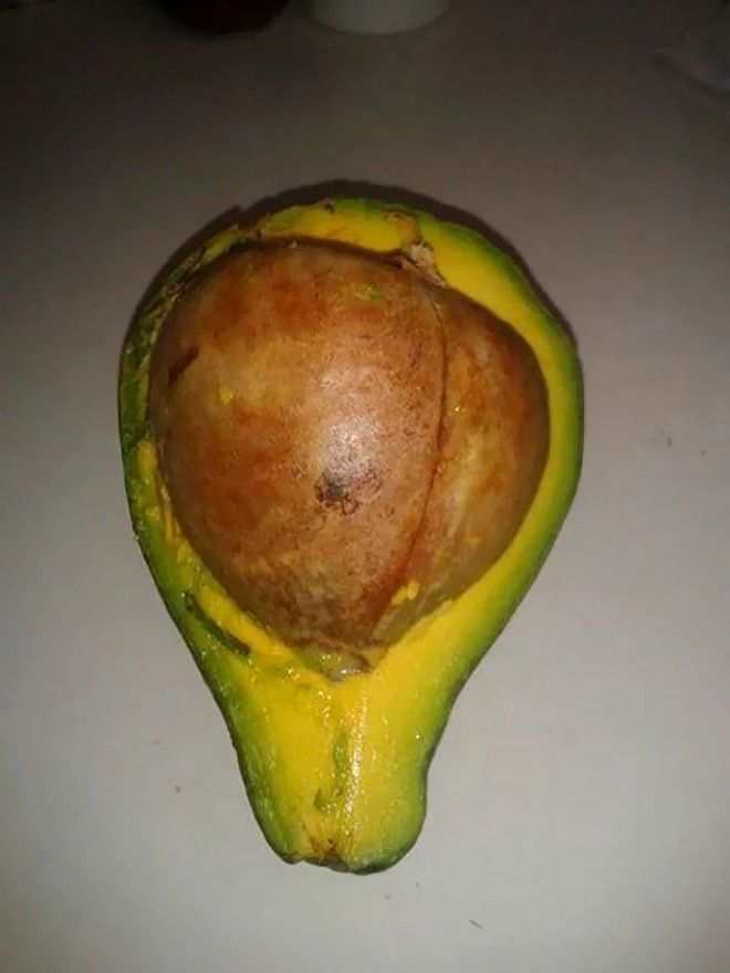 20 неудачников которых предала еда