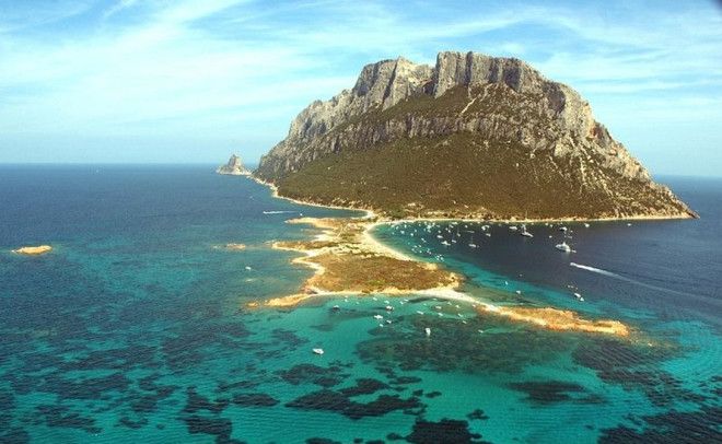 Карло Альберто остался очень доволен гостеприимством местных жителей Когда государственная машина Италии попробовала экспроприировать имущество Бертолеони тот отправил сына к Альберто где тот получил официальные бумаги утверждающие право семьи на владение островом