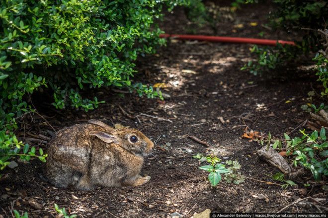 Как живут старики в Америке Пожилой дом