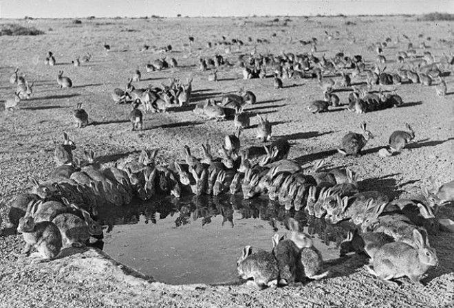 20 исторических фактов от которых вы потеряете дар речи