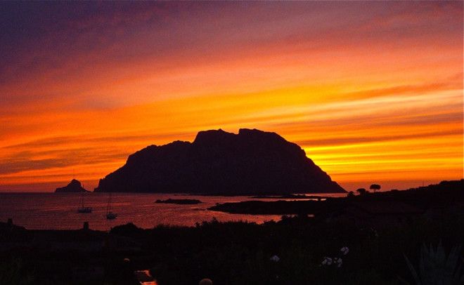 Обжив немного остров Джузеппе объявил себя королем Позднее генуэзец утверждал что титул ему даровал сама Карло Альберто король Сардинии прибывший на Таволару поохотиться&nbsp;