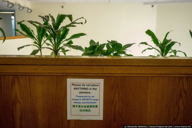 Как живут старики в Америке Пожилой дом