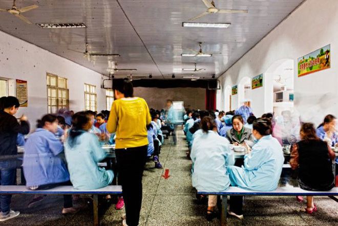 Экскурсия по самой большой китайской фабрике мягких игрушек