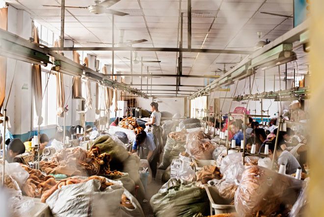 Экскурсия по самой большой китайской фабрике мягких игрушек