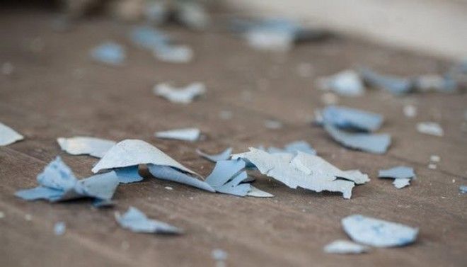 Картинки по запросу lead paint chip