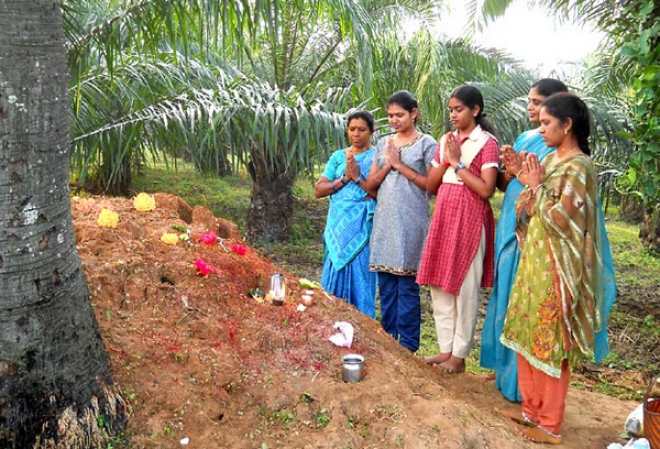 Нагапанчами индуистский праздник когда все вместо работы умасливают змей