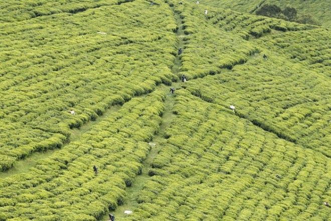 Бурунди самая несчастливая страна мира