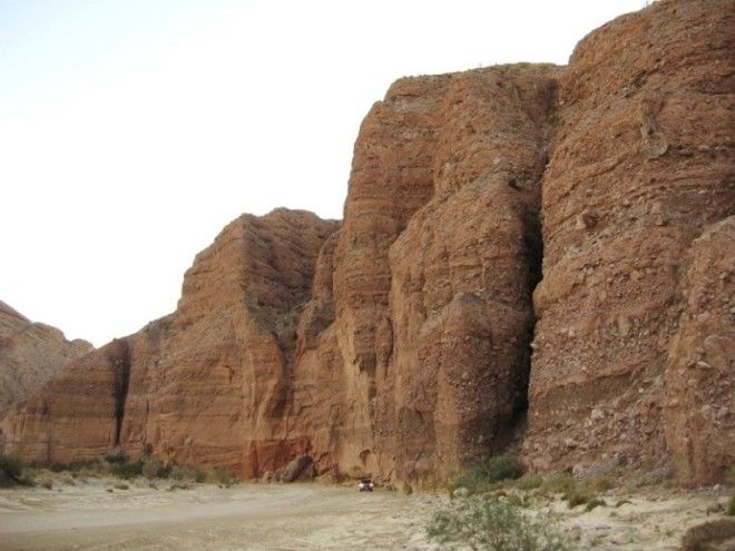 Цветущая пустыня прекрасная жизнь среди мёртвых песков