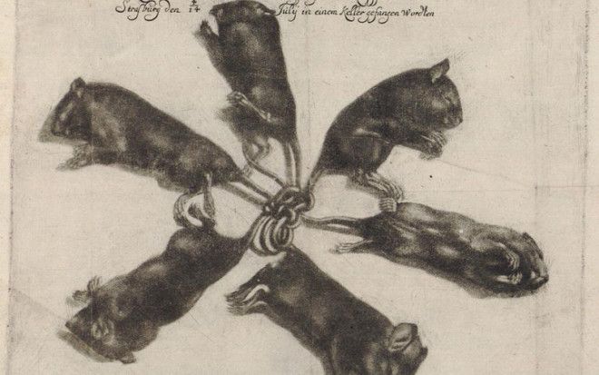 Жуткие страницы Википедии которые даже не хочется открывать