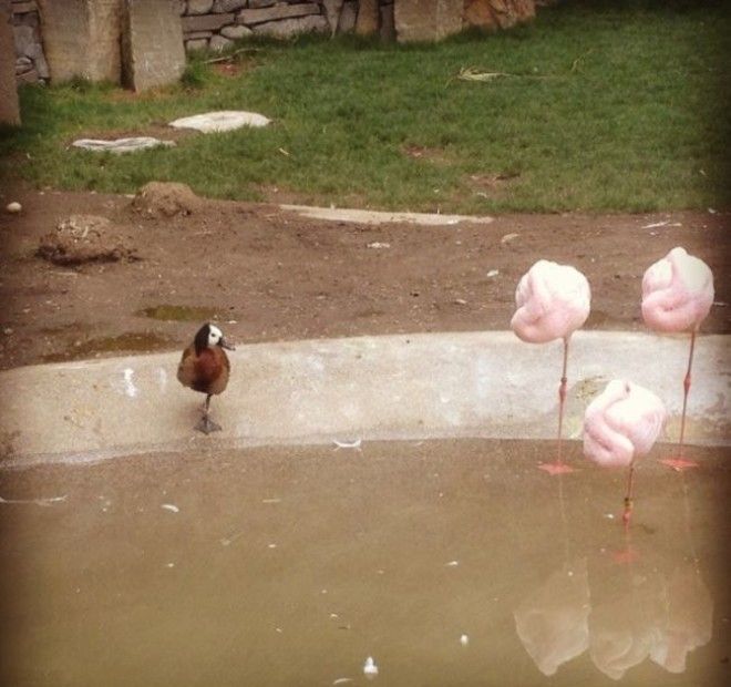 Ктото лишний