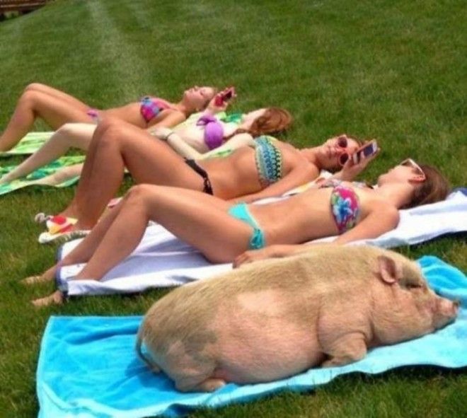 Ктото лишний