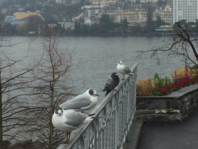 Ктото лишний