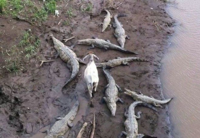 Ктото лишний