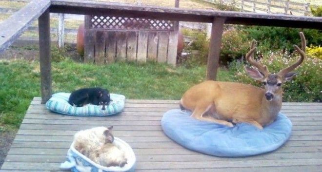 Ктото лишний