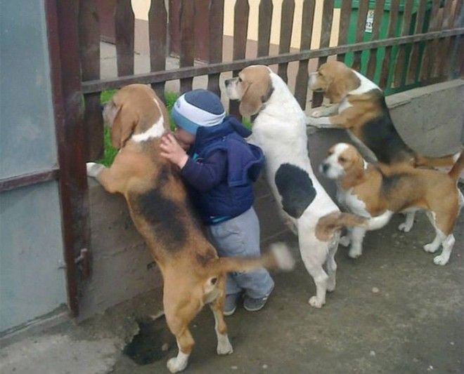 Ктото лишний