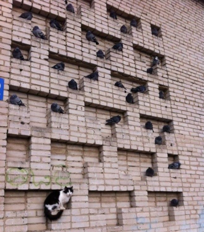 Ктото лишний