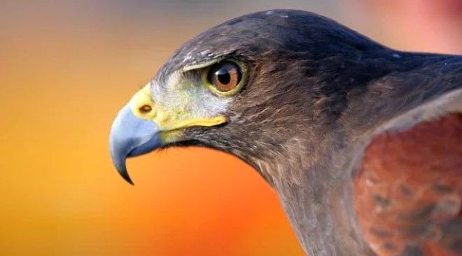 10 невероятных фактов о Катаре которые вы не знали