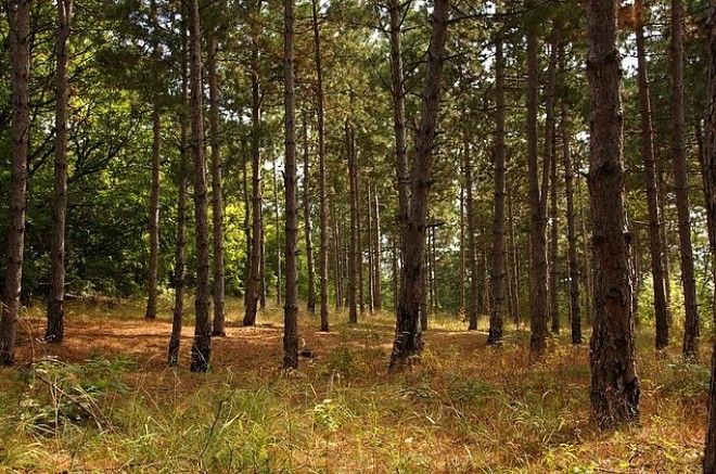 Досмотрев эти фото до конца вы узнаете какой фобией вы страдаете