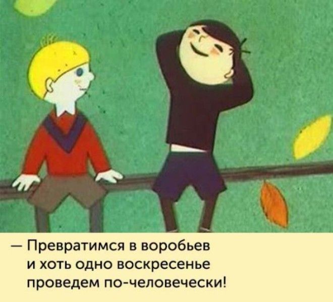 20 крылатых фраз из советских мультиков которые обогатили нашу речь