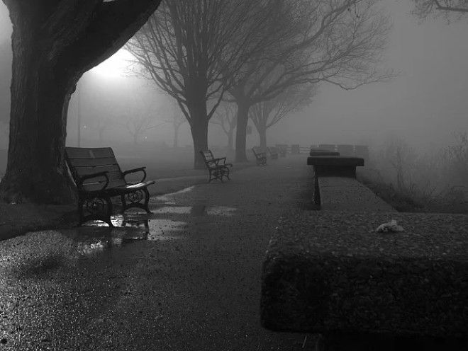 Досмотрев эти фото до конца вы узнаете какой фобией вы страдаете