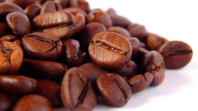 20 умопомрачительных фактов которые заставят вас открыть рот от удивления