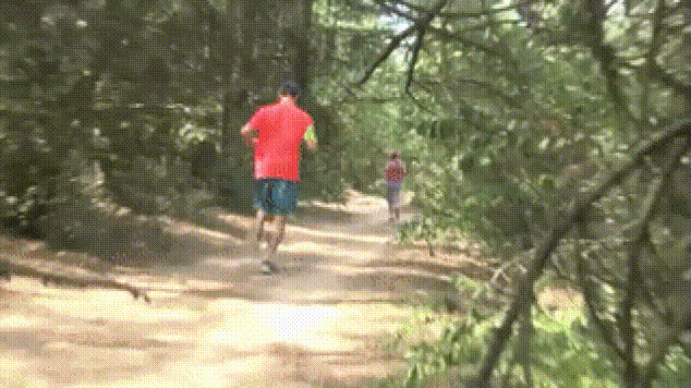 20 мастеров троллинга с которыми шутки плохи