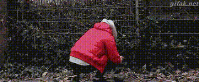 20 мастеров троллинга с которыми шутки плохи