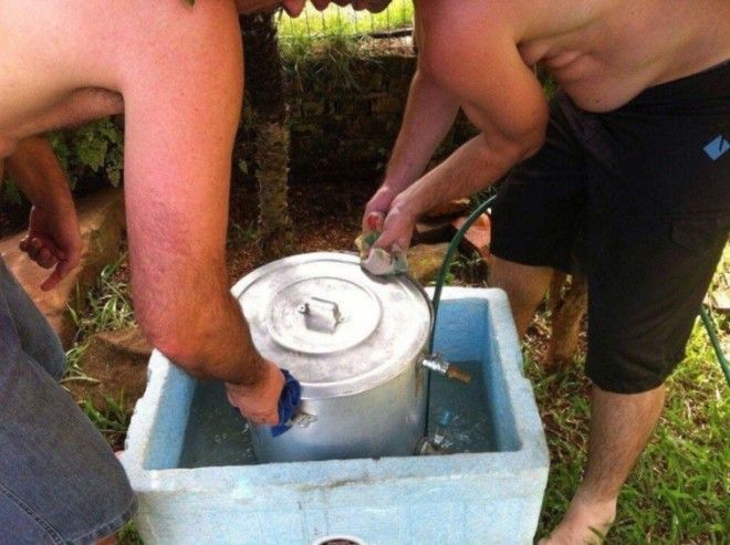 Вуди Харрельсон живот выглядит как Вуди Харрельсон живот похож на Вуди Харрельсона