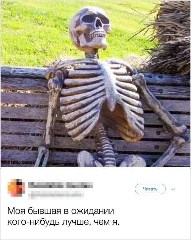 17 ироничных твитов о бывших которые оценят даже они