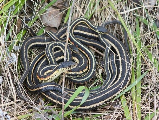 Досмотрев эти фото до конца вы узнаете какой фобией вы страдаете