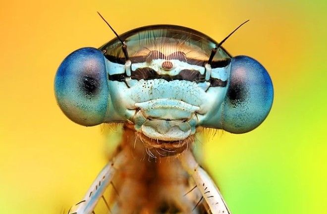 20 умопомрачительных фактов которые заставят вас открыть рот от удивления