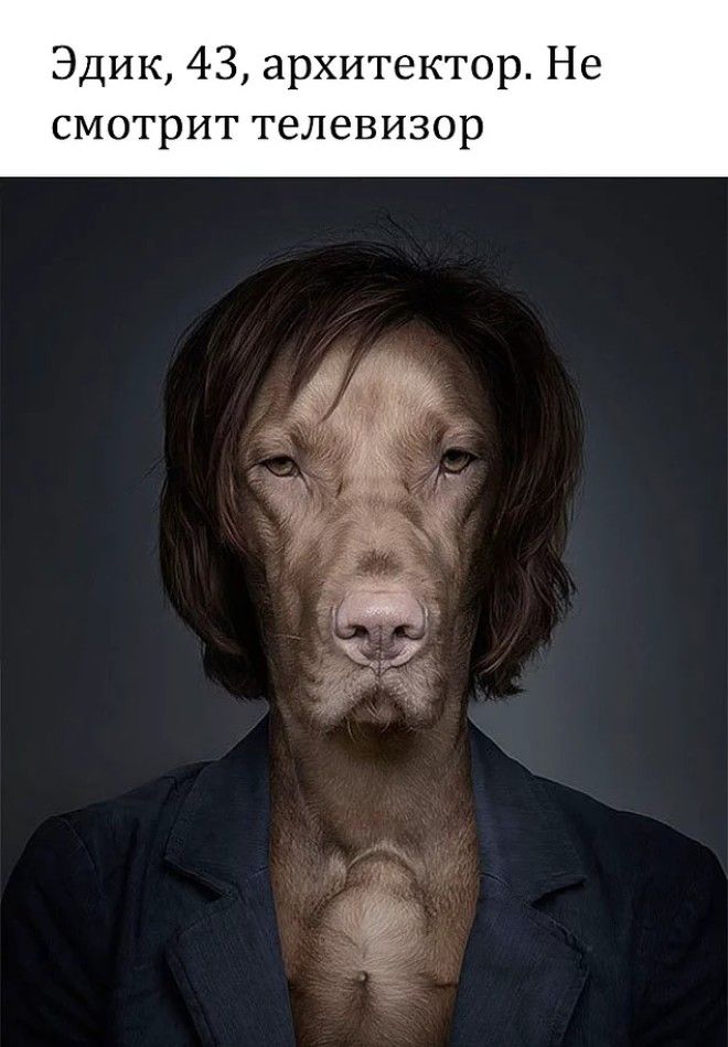 10 уморительных мемов с собаками которые напомнят вам коекого из знакомых