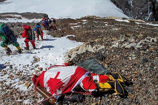 20 умопомрачительных фактов которые заставят вас открыть рот от удивления