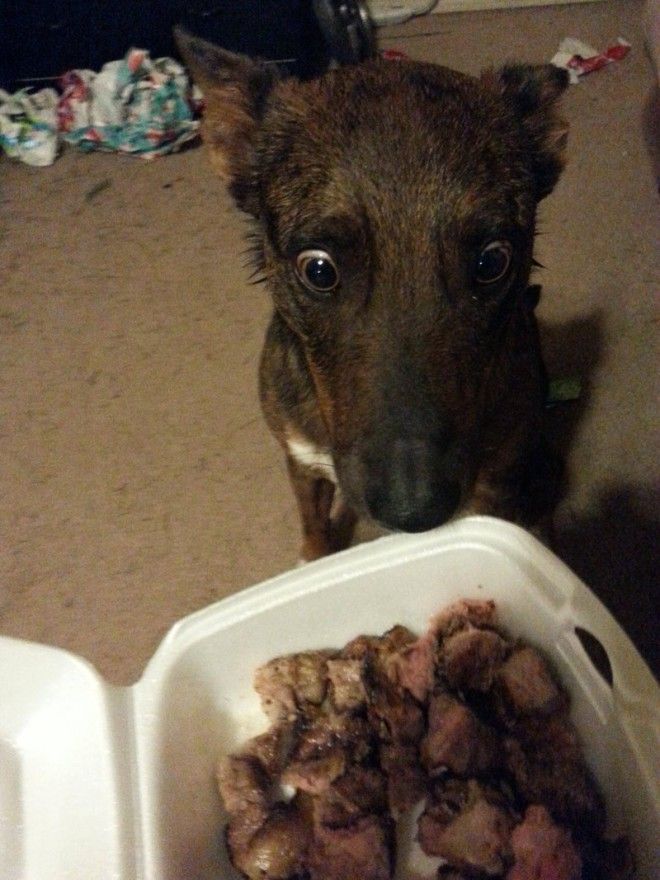 17 фото о том как выглядит истинное счастье