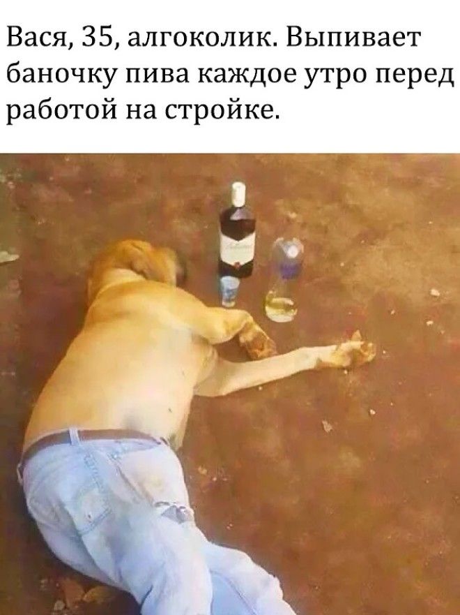 10 уморительных мемов с собаками которые напомнят вам коекого из знакомых