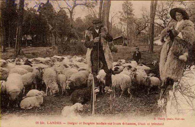 Картинки по запросу