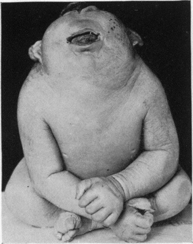 Людям с хорошей фантазией не читать 15 самых жутких созданий мифов и легенд