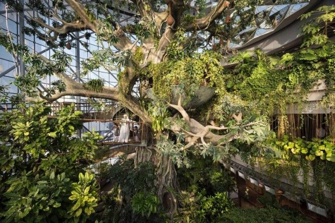 Документальный цикл о жизни богачей Дубая