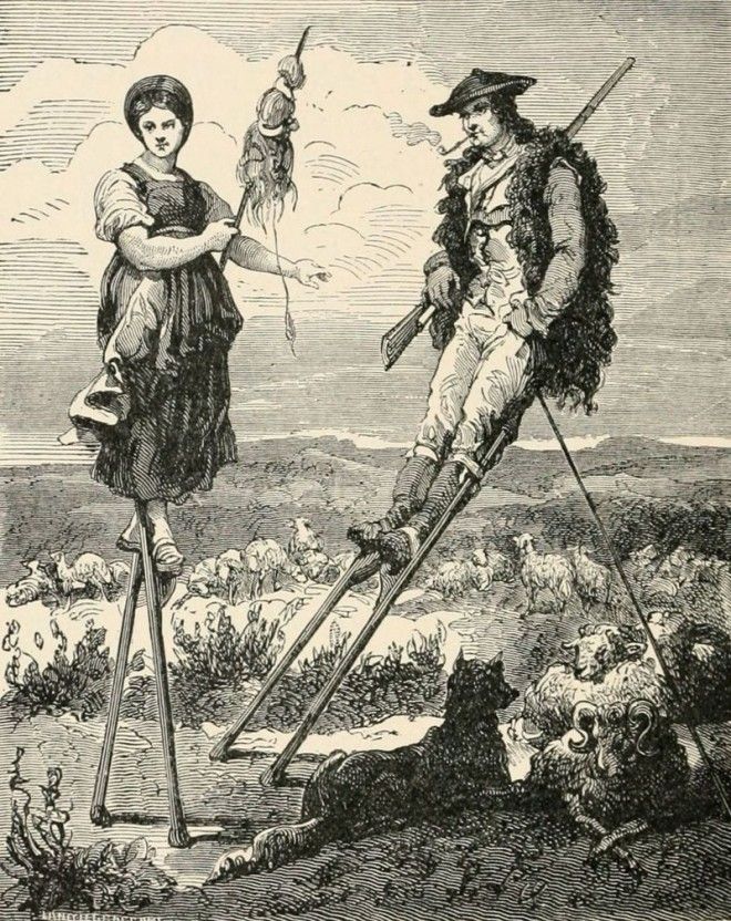 Удивительные факты про Пастухов на ходулях образ которых знаком каждому