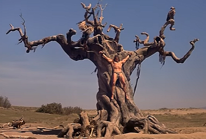 Старая старая сказка Конанварвар 1982 года