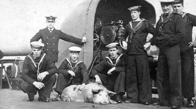 9 страшных войн которые начались изза глупых причин