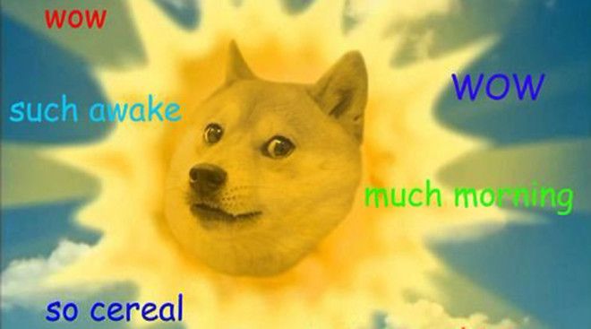 Самые странные и даже безумные криптовалюты мира