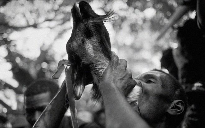 Культ Вуду вся правда о мрачном наследии шаманов