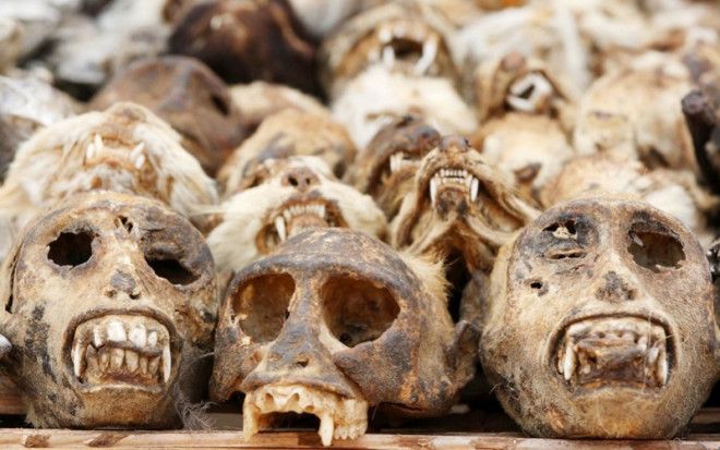 Культ Вуду вся правда о мрачном наследии шаманов