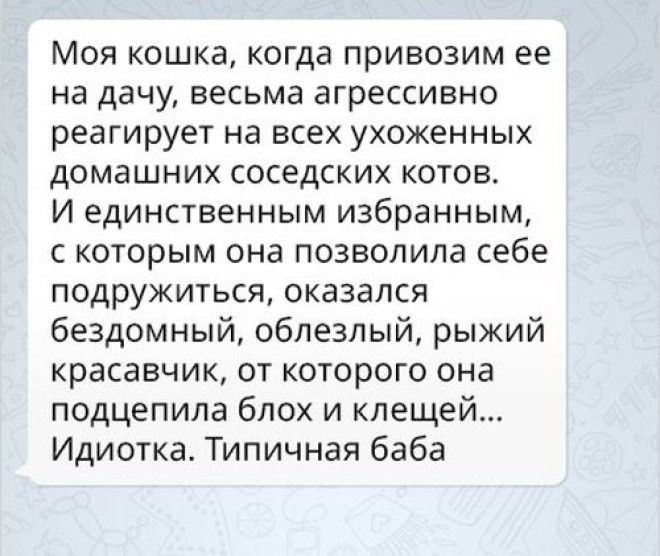 Женская логика непростая наука